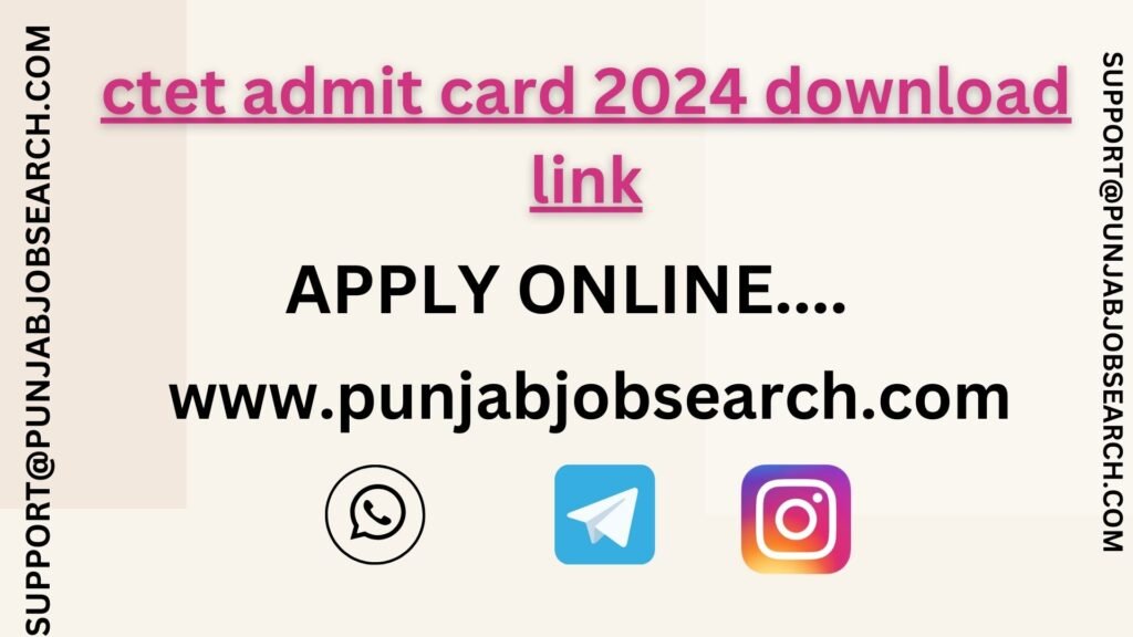 ctet admit card 2024 download link