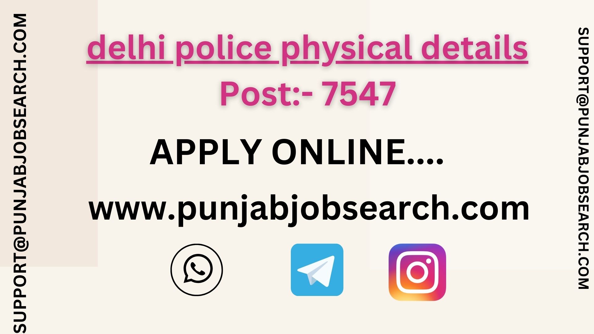 delhi police physical details